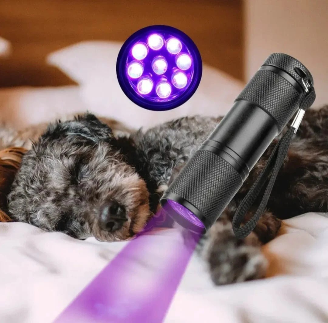 9 LED 395nm UV Flashlight – Portable Black Light Torch